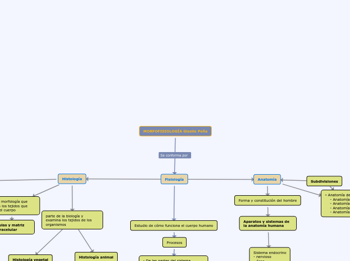 MORFOFISIOLOGÍA Giselle Peña Mind Map